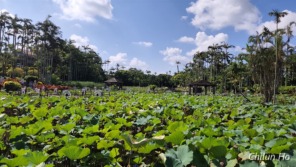 県道26号線
